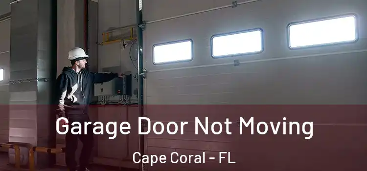  Garage Door Not Moving Cape Coral - FL