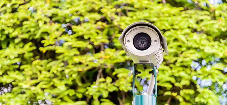 Advanced Surveillance Solutions for Every Need in Cape Coral