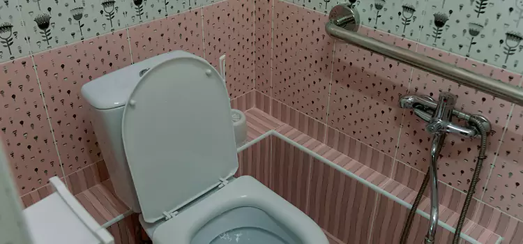 Meeting Diverse Needs With Accessible Restroom Solutions in Cape Coral, FL